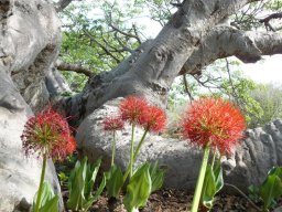 283498_10150265621324901_4529194_n